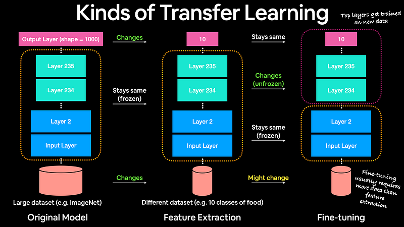 Diagram comparing an original pretrained model, feature extraction, and fine-tuning