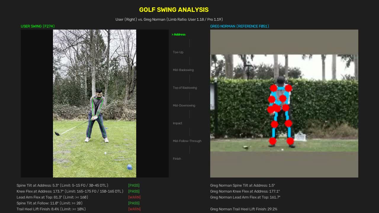 Golf swing pose landmarks alongside a Greg Norman reference swing