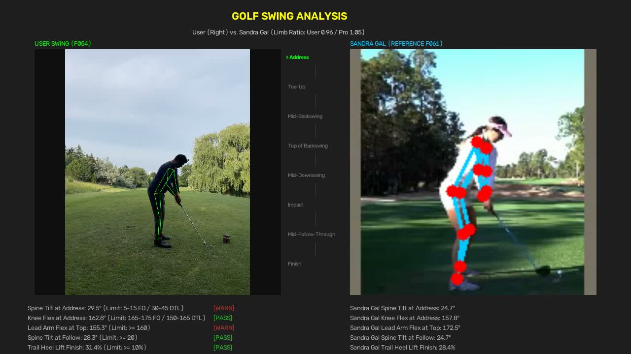 Golf swing milestone comparison alongside a Sandra Gal reference swing